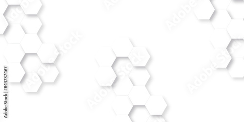 Abstract technology hexagonal background. Illustration of a white background with hexagonal template. White hexagon honeycombs background. Hexa gray Abstract Geometric Wide Banner Design.
