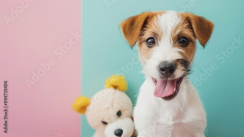 Amused puppy displaying a cheerful smile on pastel background with a plushie