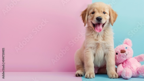 Amused puppy displaying a cheerful smile on pastel background with a plushie © MarkFinal