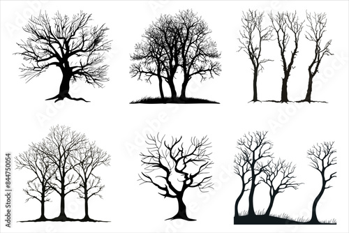 Scary Dead Tree Silhouette Bundle