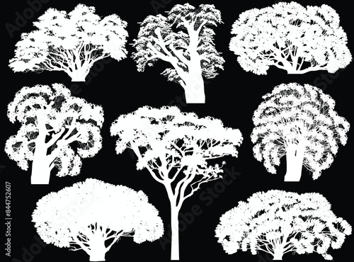 isolated on black lush eight trees