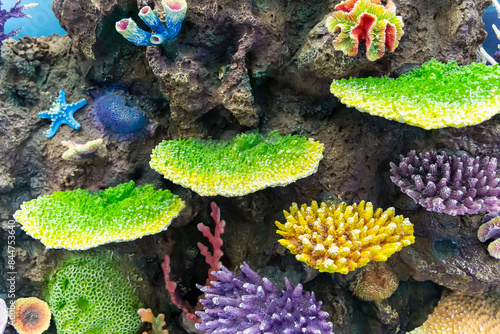 Fototapeta Naklejka Na Ścianę i Meble -  colorful artificial coral reef models