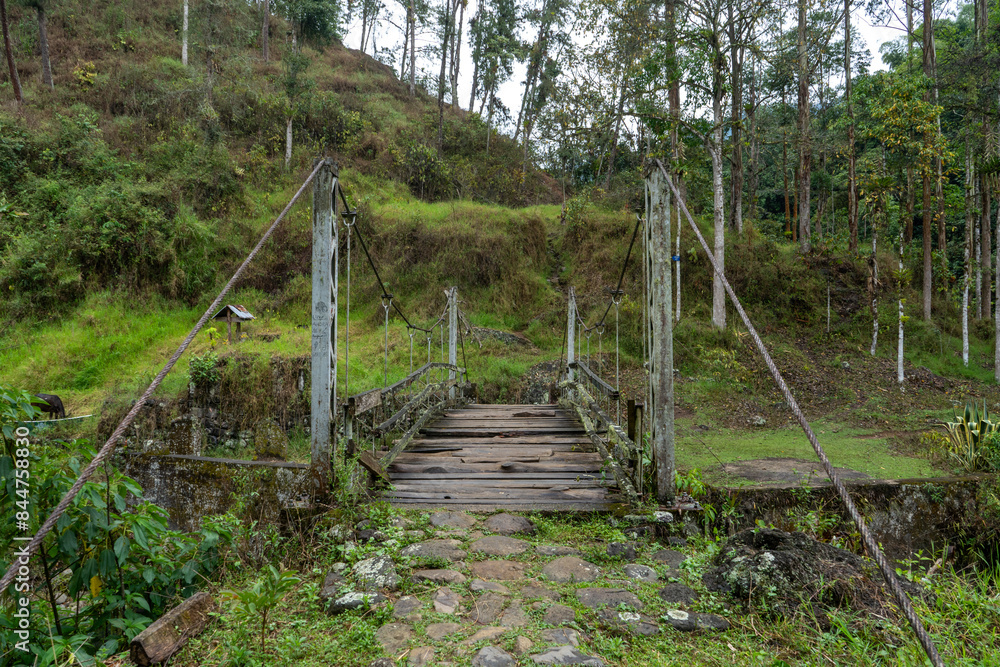 Obraz premium wooden bridge in the forest