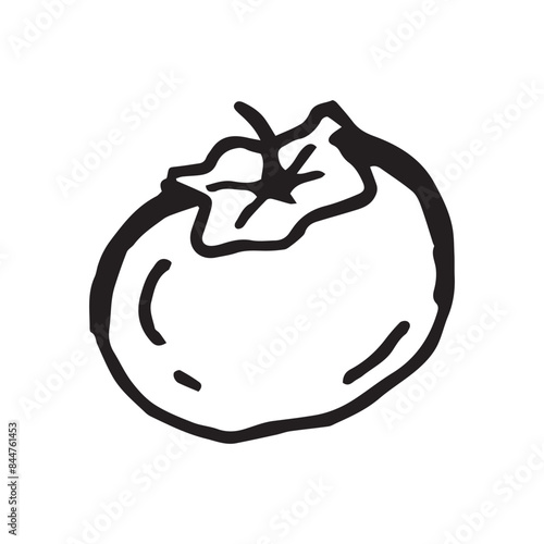 kinglet fruit hand drawn vector illustration on isolated white
