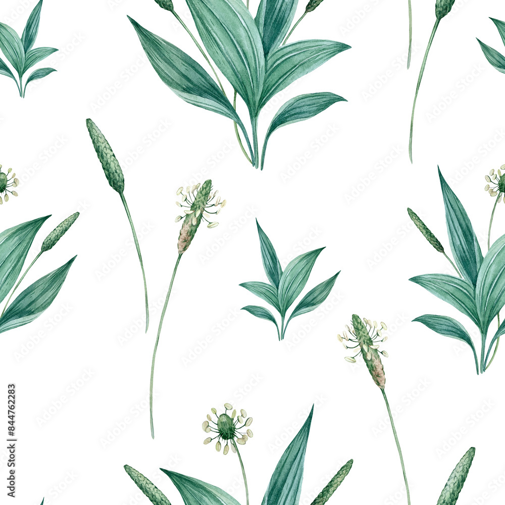 Fototapeta premium Seamless watercolor floral pattern with green leaves and plantain flowers.