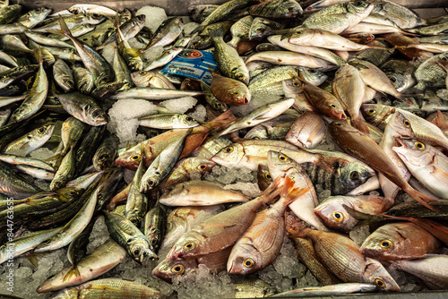 The fish and grocery market in the Markethall of Loule in the Algarve, Portugal in Europe. photo