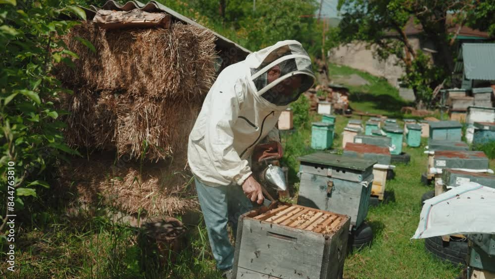 Beekeeper is holding up wooden frame with bees to control situation in bee colony. Farmer in protective suit working on bee field. Worker carring out bee Beekeeper is holding up wooden frame with bees to control situation in bee colony. Farmer in protective suit working on bee field. Worker carring out bee