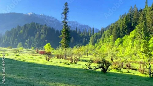 Landscape video of Taobat with clouds, meadow, wild flowers and green nature photo