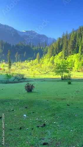 Landscape video of Taobat with clouds, meadow, wild flowers and green nature photo