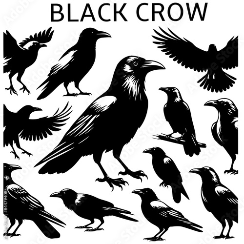 set of black crows, halloween party, editable stroke, vector art ready for card or invitation.