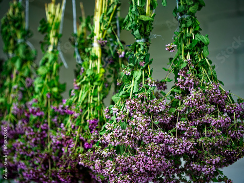 An array of hanging floral bunches in mid-drying process exudes an old-world charm, highlighting nature’s elegance amidst tranquility. photo