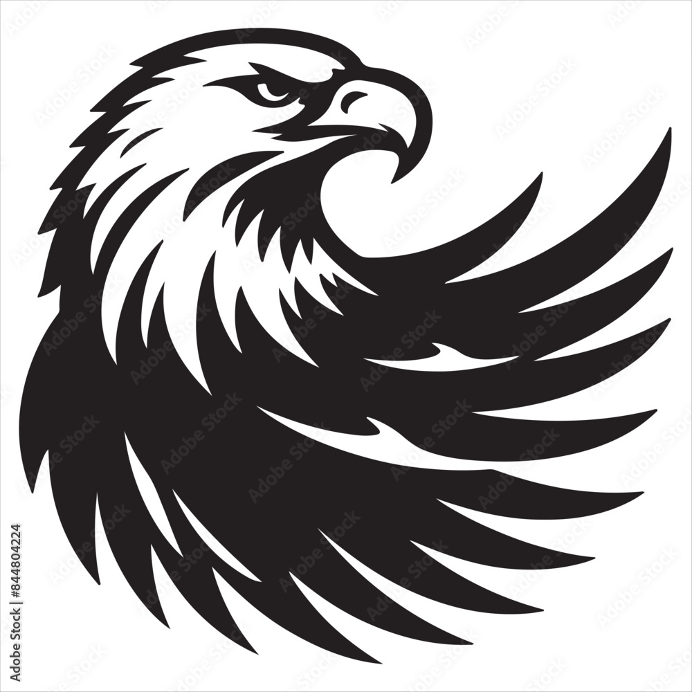 Fototapeta premium Bald Eagle bird vector art illustration
