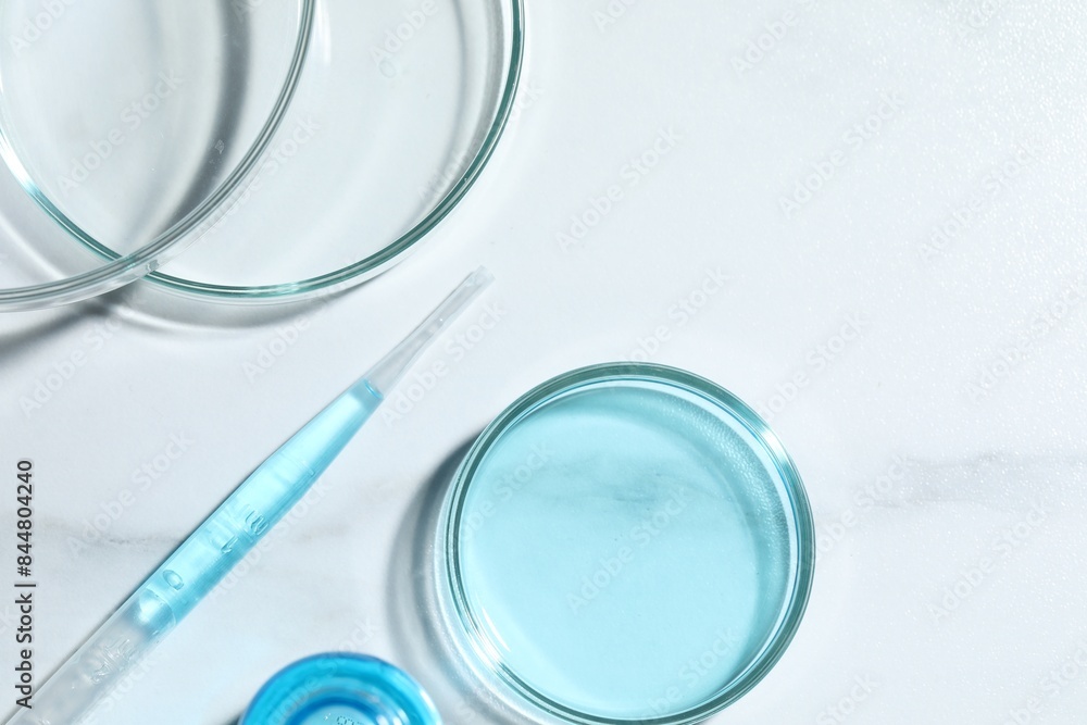 Pipette and petri dishes with liquid on white marble table, flat lay Pipette and petri dishes with liquid on white marble table, flat lay