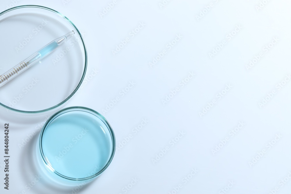 Pipette and petri dishes with liquid on white table, flat lay. Space for text Pipette and petri dishes with liquid on white table, flat lay. Space for text