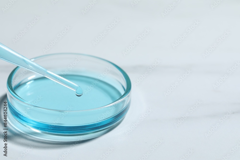 Dripping liquid from pipette into petri dish at white table, closeup. Space for text Dripping liquid from pipette into petri dish at white table, closeup. Space for text