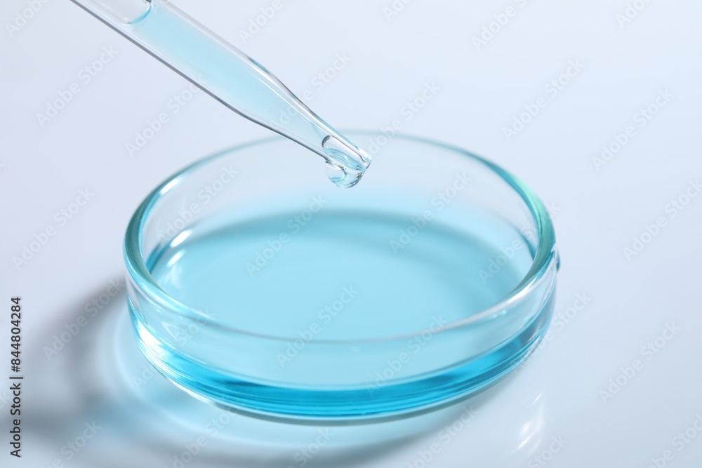 Dripping liquid from pipette into petri dish at white table, closeup Dripping liquid from pipette into petri dish at white table, closeup