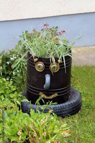 Garden decoration made from recycled black plastic barrel and thrown away car tyre used as large flower pot for ornamental grass to help complete cute look in local urban home garden