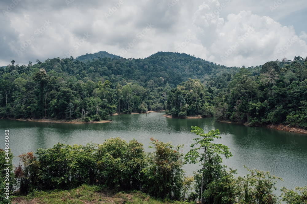 Fototapeta premium A calm panorama of a lushy forest and a lake