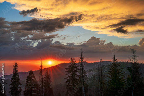 Sequioa Sunset