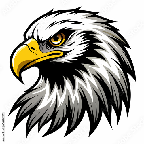 bald eagle illustration