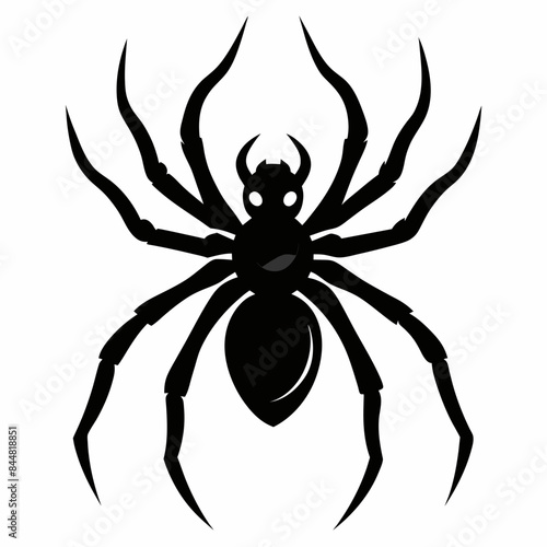 spider on a white background