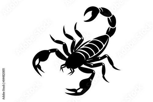 scorpion animal silhouette vector illustration
