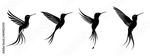 Graceful Hummingbird Collection, Serene Flight Silhouettes