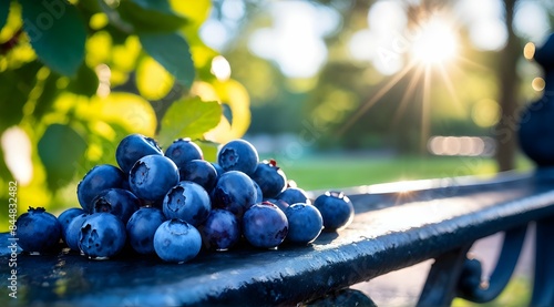 Wallpaper Mural Berries blueberries cluster closeup park sunset backdrop Torontodigital.ca