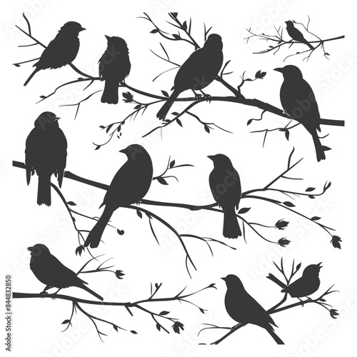 Silhouette Serenade: Birds Perched on Bare Branches, Vector Illustration.