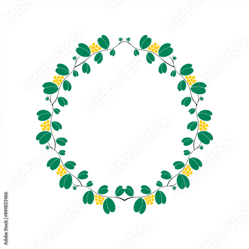 colorful illustration of sweetheart Hoya plant as a round frame