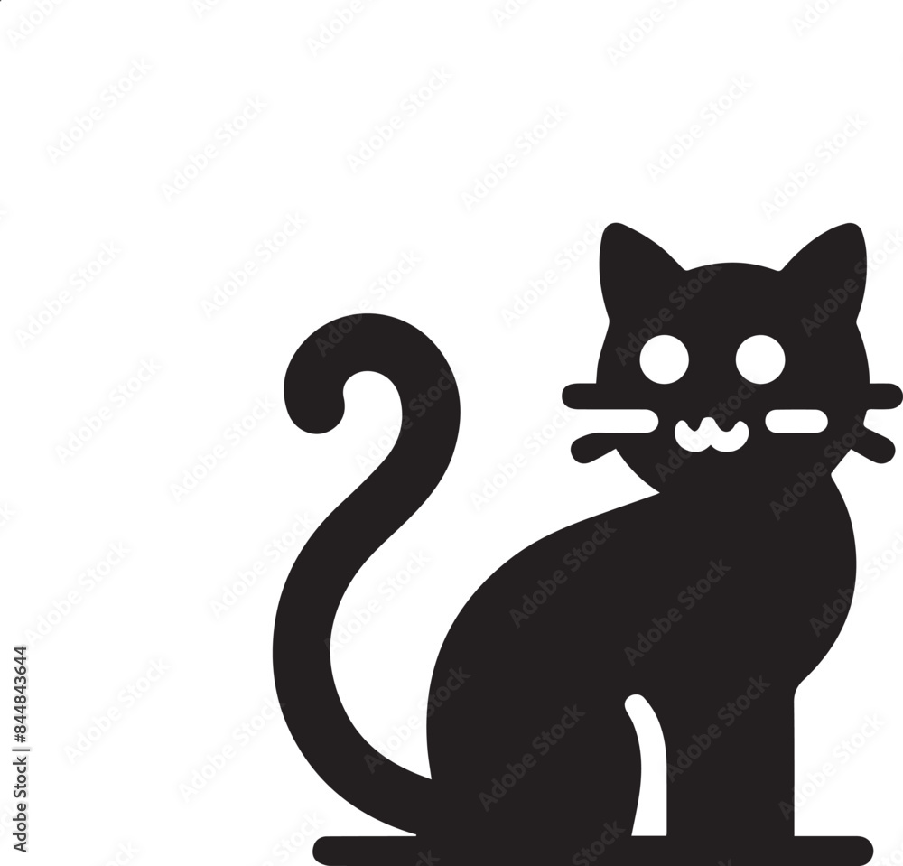 black and white cat black and white cat