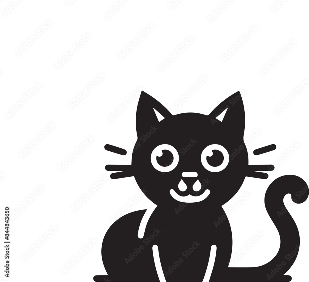 black and white cat black and white cat