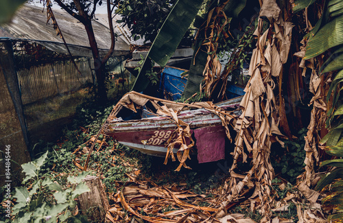 Wallpaper Mural Old and rusty motor boats on a landfill surrounded by tropical forest Torontodigital.ca