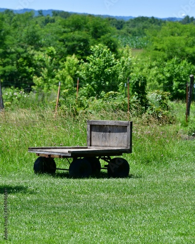 Wooden Trailer by a Garden photo