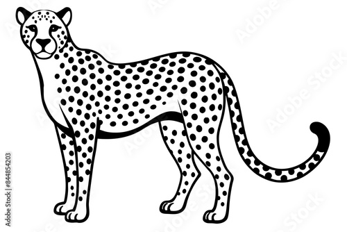 cheetah vector illustration