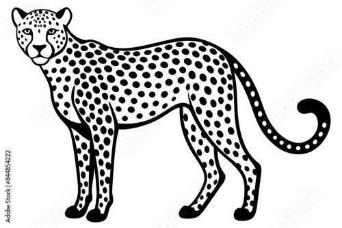 cheetah vector illustration