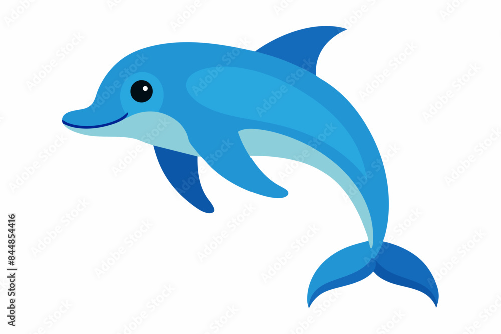 dolphin fish vector illustration