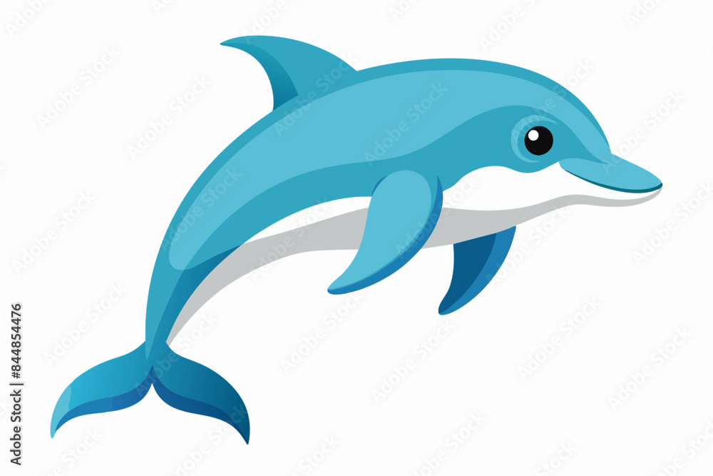 dolphin fish vector illustration dolphin fish vector illustration