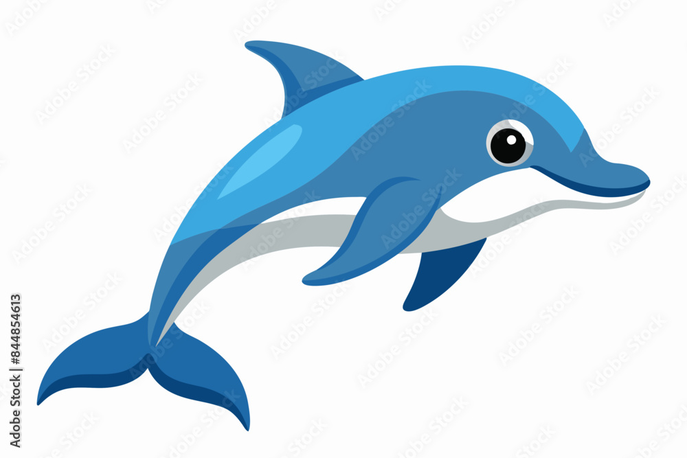 dolphin fish vector illustration dolphin fish vector illustration