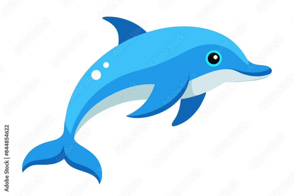 dolphin fish vector illustration dolphin fish vector illustration