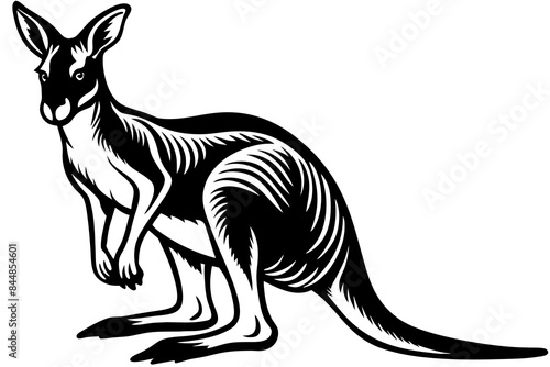 kangaroo vector silhouette illustration