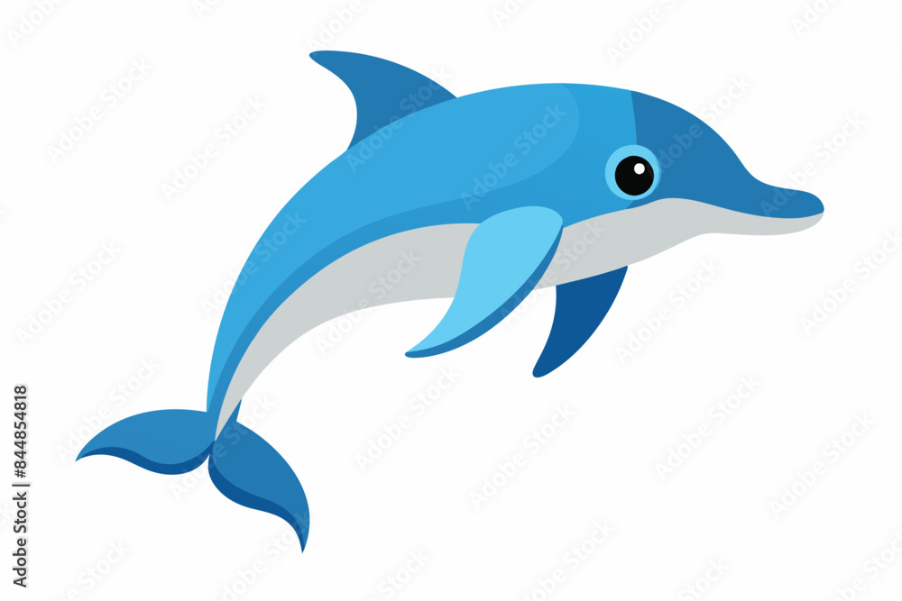 dolphin fish vector illustration dolphin fish vector illustration