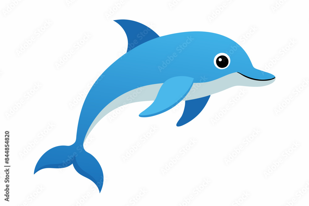dolphin fish vector illustration dolphin fish vector illustration