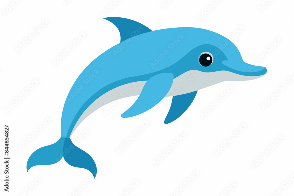 dolphin fish vector illustration dolphin fish vector illustration