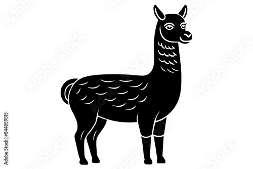 llama vector illustration