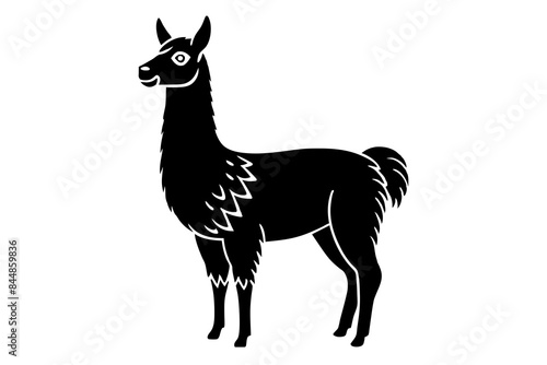 llama vector illustration