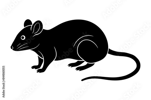 mouse vector illustration