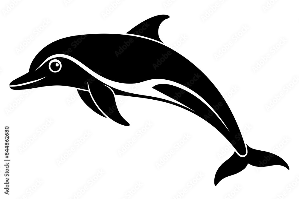 dolphin fish vector illustration dolphin fish vector illustration