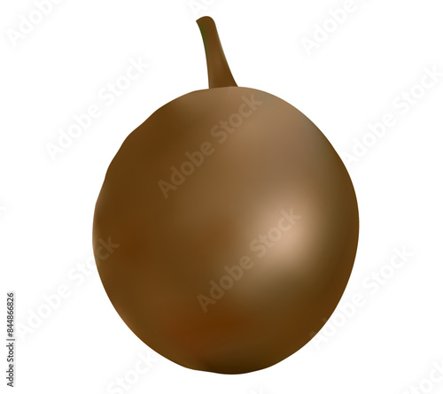 Realistic Chikoo Vector Illustration With Background 