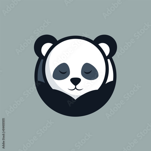 A simple logo design featuring a circular shape with a blue and white mountain range inside, Sleeping panda logo design with minimal negative space concept